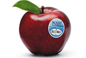 蔬菜水果激光打標(biāo)機也很精彩  第2張