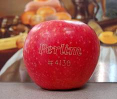 蔬菜水果激光打標(biāo)機也很精彩  第3張